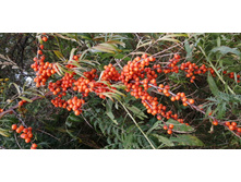 IMG 20200913 121703.jpg