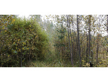 IMG 20200918 152129.jpg