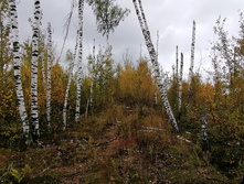 IMG 20200919 123541.jpg