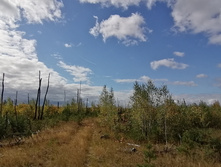 IMG 20200916 121949.jpg