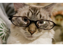 ������ �� ��� ���������� ...