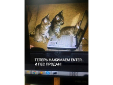 ������ �������� ENTER .. � У� ������!