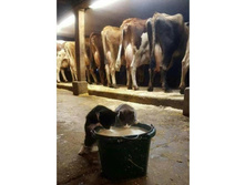 - ������ ����� � �������! - ��, ������� ������ � ����� � �������!