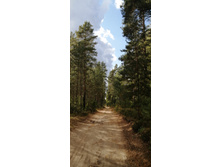 IMG 20200912 142716.jpg