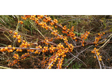 IMG 20200913 120731.jpg