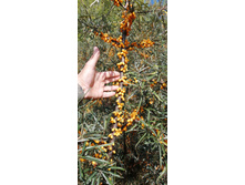 IMG 20200906 103726.jpg