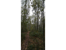 IMG 20200918 110903.jpg