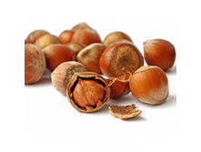 ������ �����������