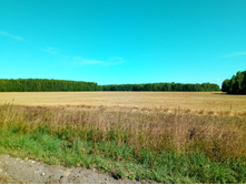 20200822 ��� ��-������� 100218.jpg