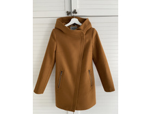 ������ ����