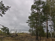 IMG 20200918 131032.jpg