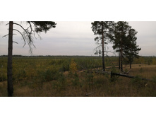 IMG 20200905 102945.jpg