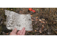 IMG 20200914 150056.jpg