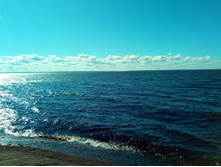 20200822 ��� ��-������� 150904.jpg