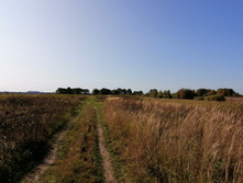 IMG 20200927 121709.jpg