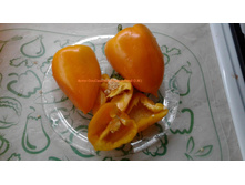 ���� (3).jpg