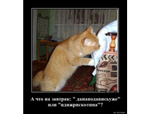 � ��� �� ������� - "���������������" ��� "�������������"?