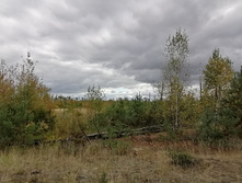 IMG 20200916 113553.jpg