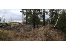 IMG 20200918 131116.jpg