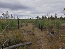 IMG 20200918 150609.jpg