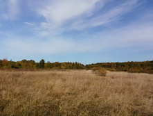 IMG 20200927 110544.jpg