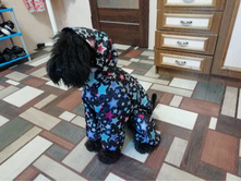 ����������� viber 2020-08-19 17-46-21.jpg