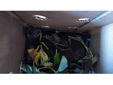 IMG 20200914 103009 HHT.jpg