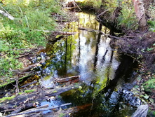 IMG 20200920 140357.jpg