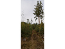 IMG 20200905 112515.jpg