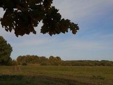 IMG 20200927 102229.jpg