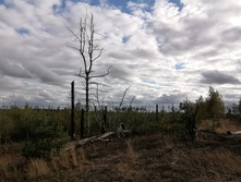 IMG 20200914 154600.jpg