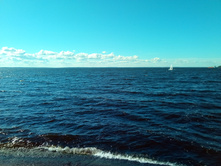 20200822 ��� ��-������� 150901.jpg