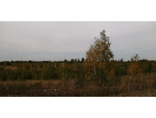 IMG 20200905 103004.jpg