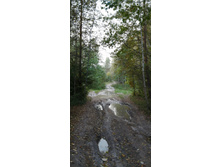 IMG 20200920 142620.jpg