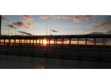 IMG 20200920 174929.jpg