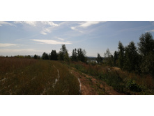 IMG 20200906 093700.jpg