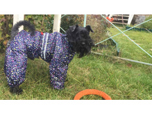 ����������� viber 2020-09-15 11-02-18.jpg