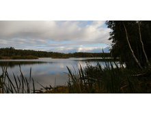 IMG 20200920 162512.jpg