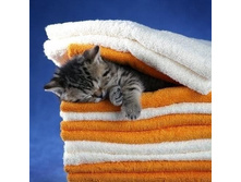 ... � ��� ����� � ������