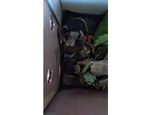 IMG 20200914 102322 HHT.jpg