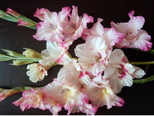 �������� � ������ ��������� �����