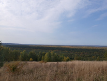 2020-09-26 13-08-18.jpg