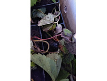 IMG 20200914 103215 HHT.jpg