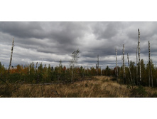 IMG 20200916 122105.jpg