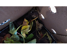 IMG 20200914 103231 HHT.jpg