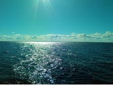 20200822 ��� ��-������� 151519.jpg