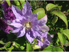 ���� �� ������