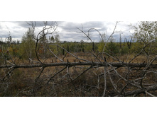 IMG 20200918 133418.jpg