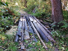 IMG 20200920 140247.jpg