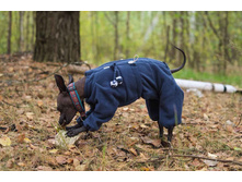 ����������� viber 2020-09-27 11-47-01.jpg